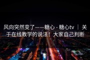 风向突然变了——糖心 - 糖心tv ｜ 关于在线教学的说法！大家自己判断
